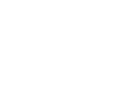 Miyake 365